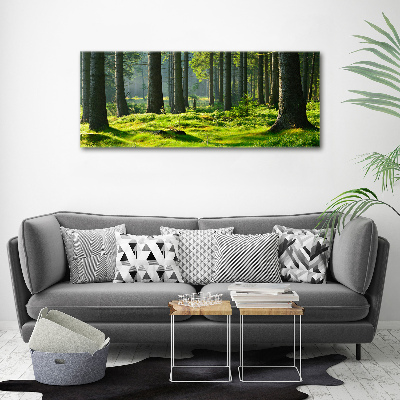 Quadro in vetro acrilico Foresta di abeti rossi