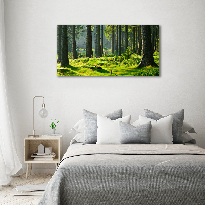 Quadro in vetro acrilico Foresta di abeti rossi