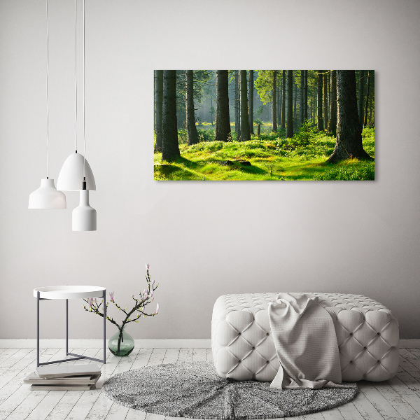 Quadro in vetro acrilico Foresta di abeti rossi