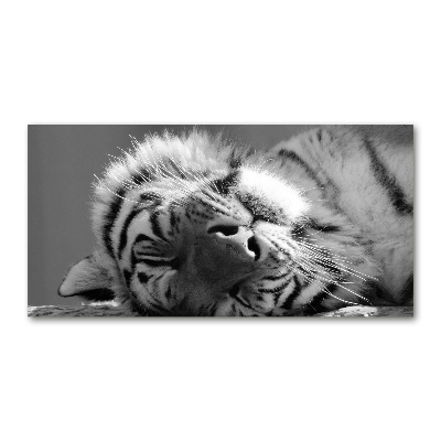 Quadro vetro acrilico Tigre addormentata