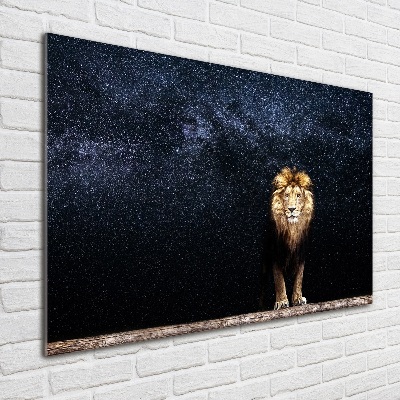 Quadro su vetro acrilico Leone contro le stelle