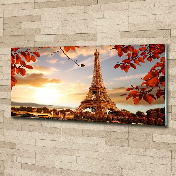 Quadro vetro acrilico Torre Eiffel Parigi