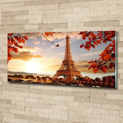 Quadro vetro acrilico Torre Eiffel Parigi