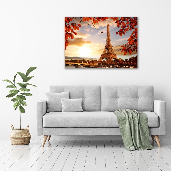 Quadro vetro acrilico Torre Eiffel Parigi