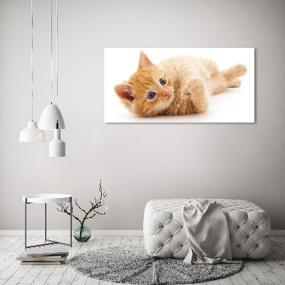 Quadro vetro acrilico Gatto rosso