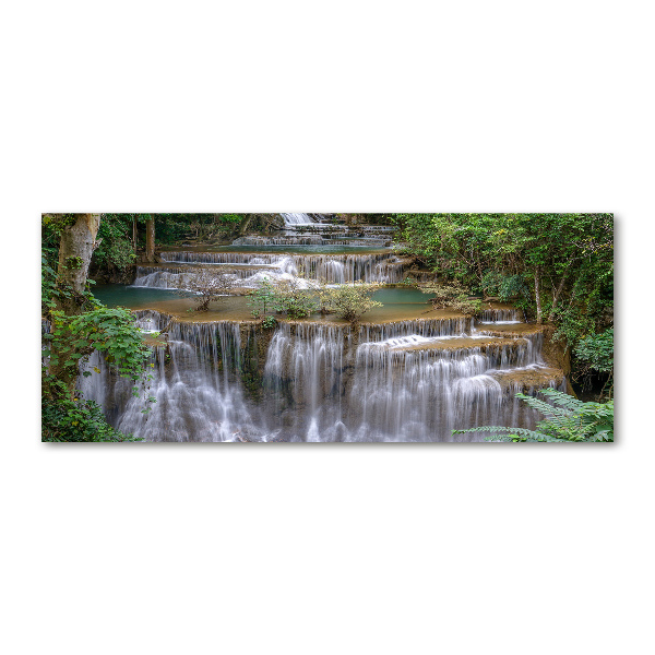 Quadro vetro acrilico Cascata nella foresta