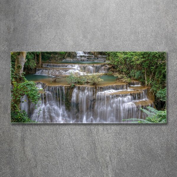 Quadro vetro acrilico Cascata nella foresta