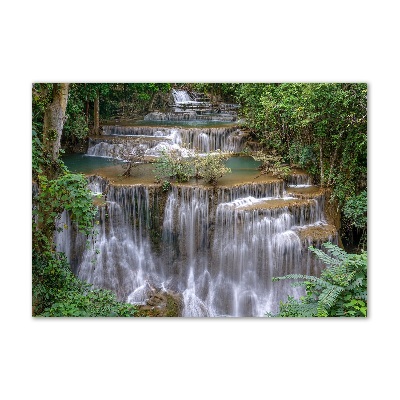 Quadro vetro acrilico Cascata nella foresta