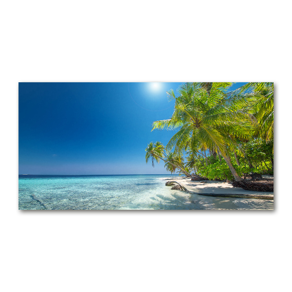 Quadro in vetro acrilico Spiaggia delle Maldive