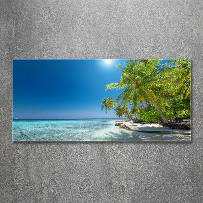 Quadro in vetro acrilico Spiaggia delle Maldive