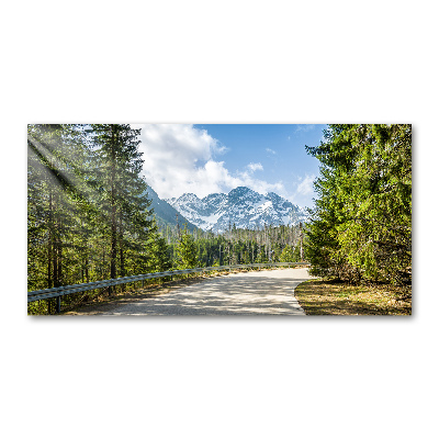 Quadro vetro acrilico Strada dei Monti Tatra