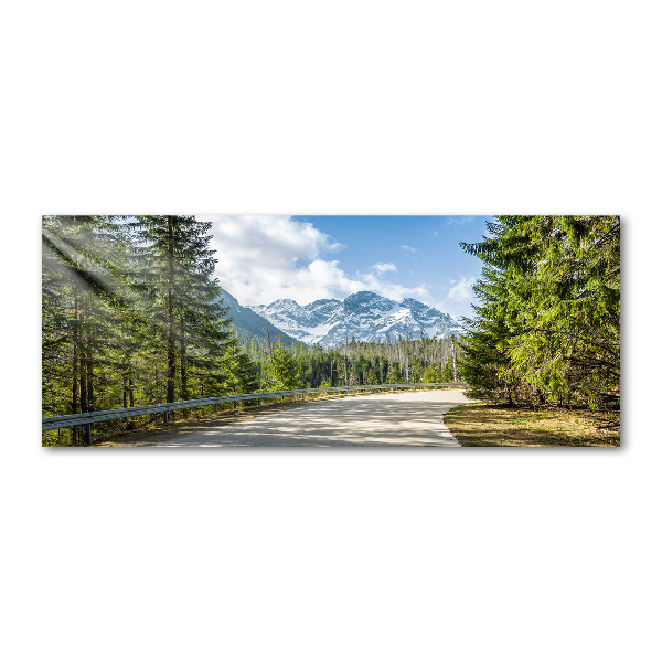 Quadro vetro acrilico Strada dei Monti Tatra