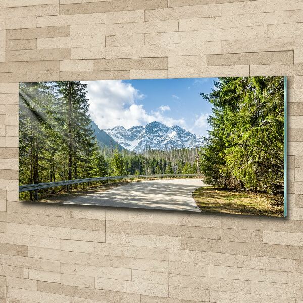 Quadro vetro acrilico Strada dei Monti Tatra