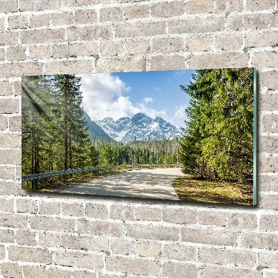 Quadro vetro acrilico Strada dei Monti Tatra