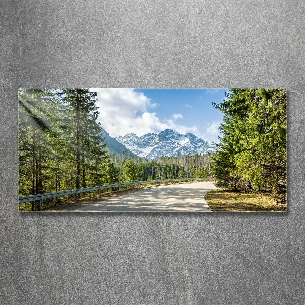 Quadro vetro acrilico Strada dei Monti Tatra