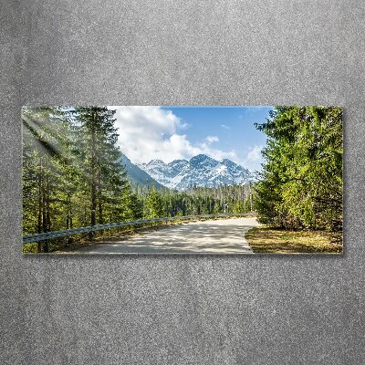 Quadro vetro acrilico Strada dei Monti Tatra