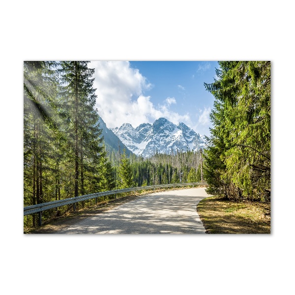 Quadro vetro acrilico Strada dei Monti Tatra