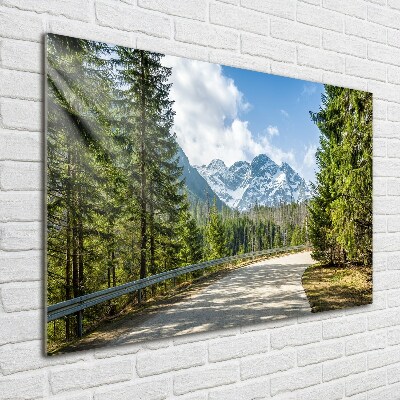 Quadro vetro acrilico Strada dei Monti Tatra