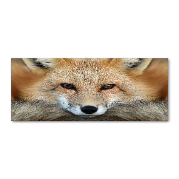 Quadro vetro acrilico Volpe