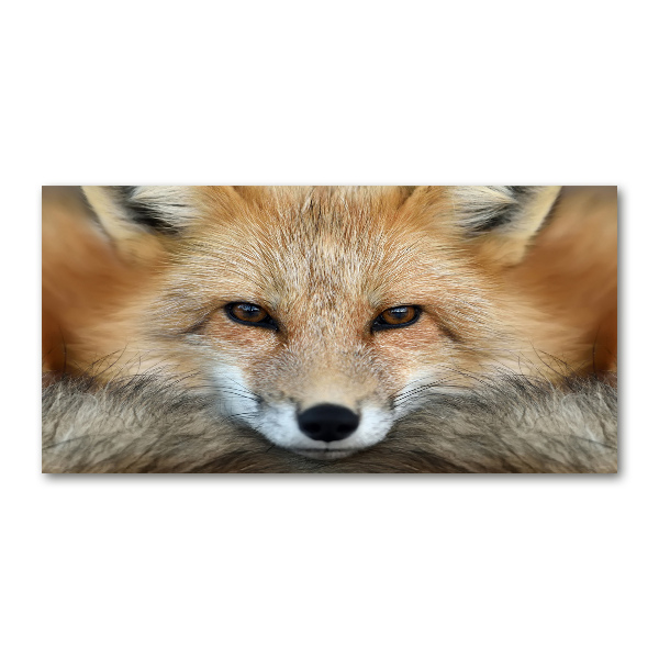 Quadro vetro acrilico Volpe