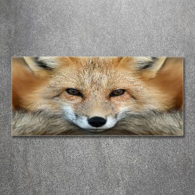 Quadro vetro acrilico Volpe