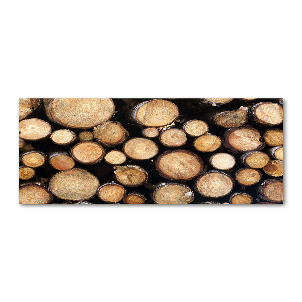 Quadro vetro acrilico Tronchi di legno