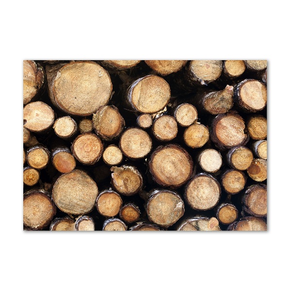 Quadro vetro acrilico Tronchi di legno