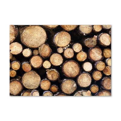 Quadro vetro acrilico Tronchi di legno