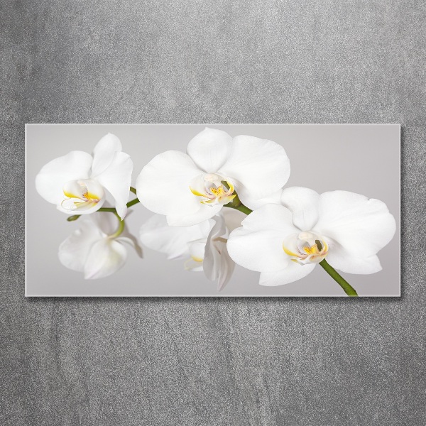 Quadro su vetro acrilico Orchidea