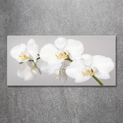 Quadro su vetro acrilico Orchidea
