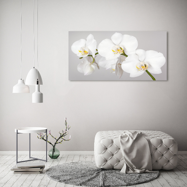 Quadro su vetro acrilico Orchidea