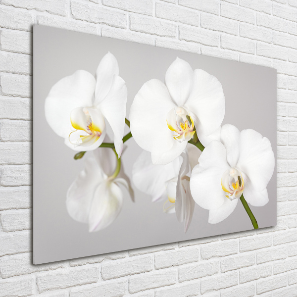 Quadro su vetro acrilico Orchidea