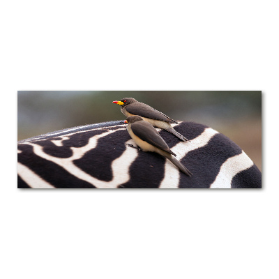 Quadro su vetro acrilico Uccelli e zebra