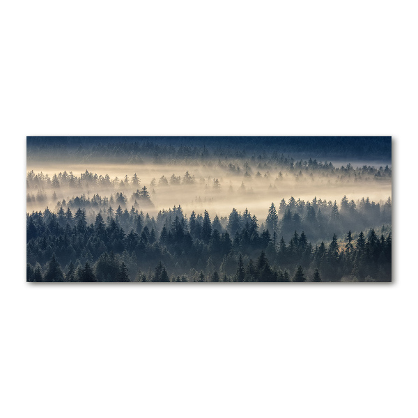 Quadro vetro acrilico Nebbia sulla foresta