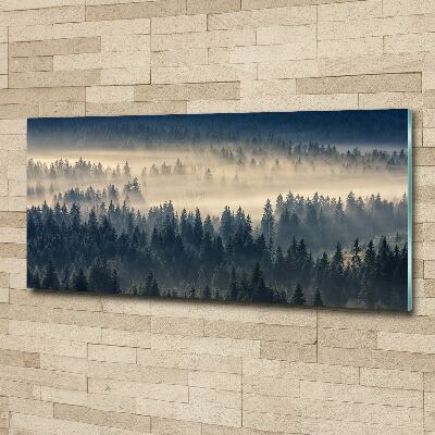 Quadro vetro acrilico Nebbia sulla foresta