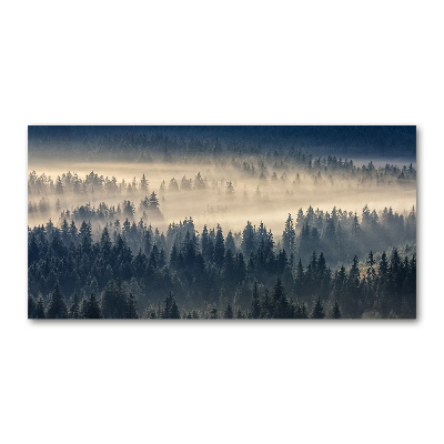Quadro vetro acrilico Nebbia sulla foresta