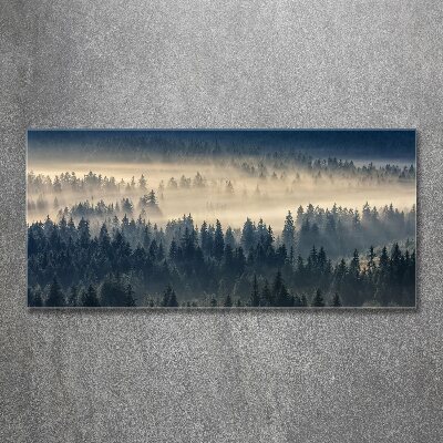 Quadro vetro acrilico Nebbia sulla foresta