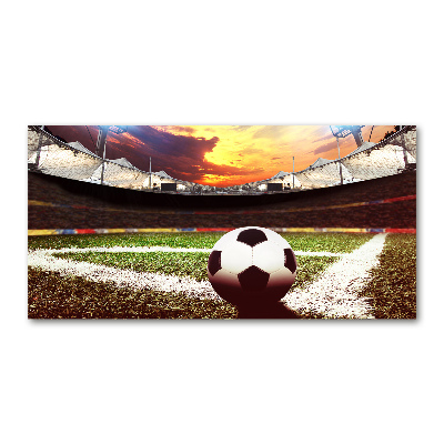 Quadro vetro acrilico Palla nello stadio
