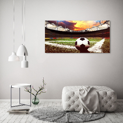 Quadro vetro acrilico Palla nello stadio