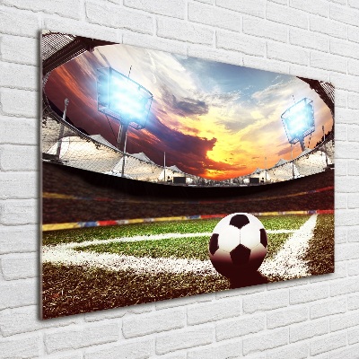 Quadro vetro acrilico Palla nello stadio