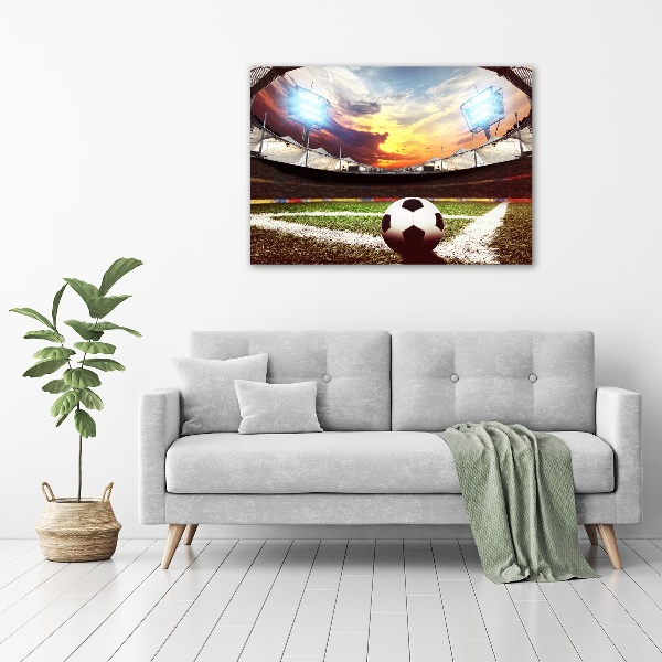 Quadro vetro acrilico Palla nello stadio