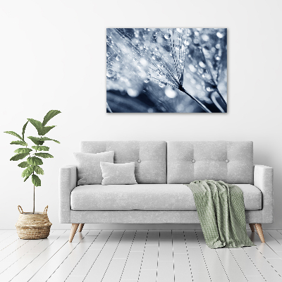 Quadro in vetro acrilico Semi di tarassaco