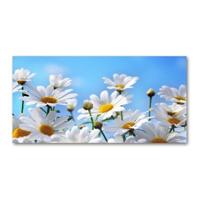 Quadro vetro acrilico Margherite