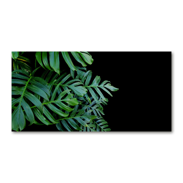 Quadro su vetro acrilico Monstera