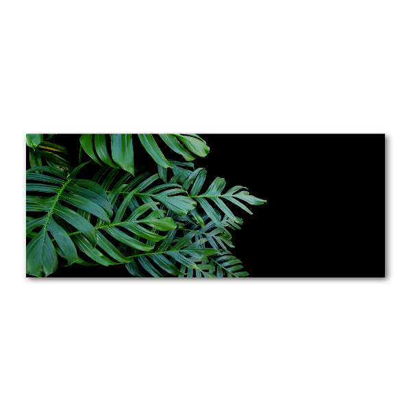 Quadro su vetro acrilico Monstera