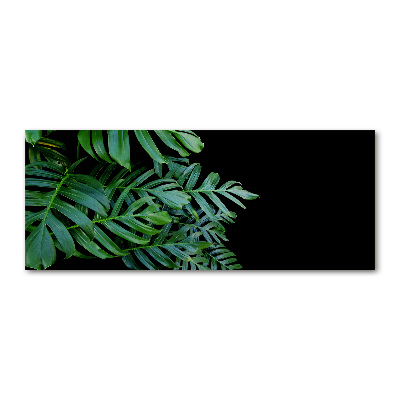 Quadro su vetro acrilico Monstera