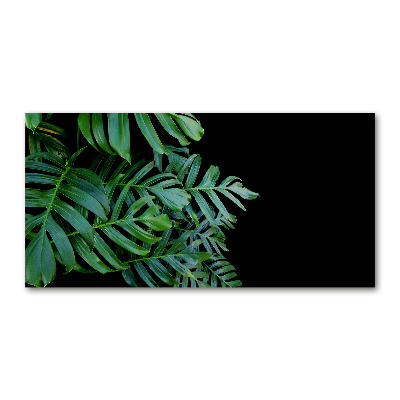 Quadro su vetro acrilico Monstera