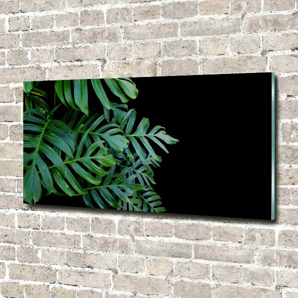Quadro su vetro acrilico Monstera