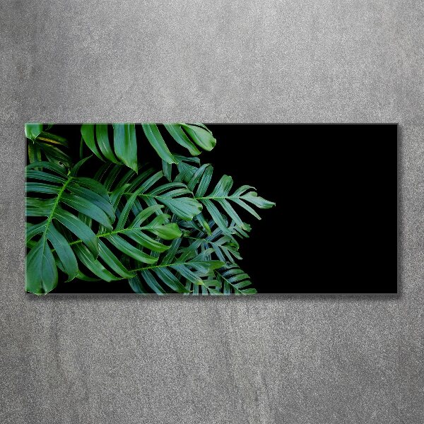 Quadro su vetro acrilico Monstera