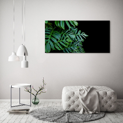 Quadro su vetro acrilico Monstera